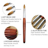 Acrylic Wood Handle Nail Brush