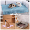 Best Breathable Cooling Dog Bed Suitable For a Variety of Scenarios To Keep Your Animal Friend Happy and Refreshed